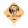 Médaille pour chien personnalisable