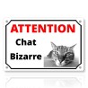 Plaque attention chat bizarre